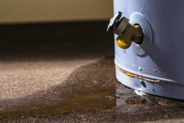 Best Sewage cleanup and water damage restoration  in Doe Valley, KY