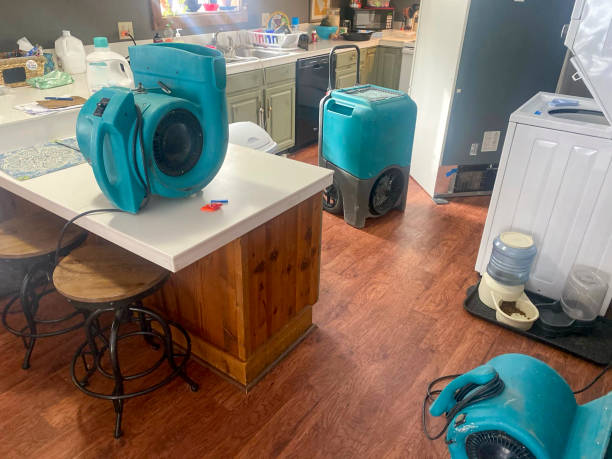 Trusted Doe Valley, KY Water damage restoration Experts