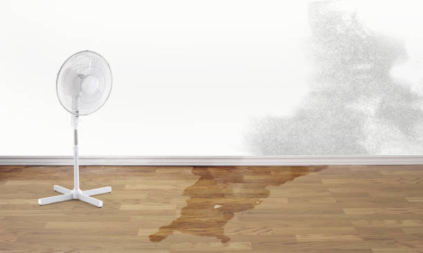 Best 24/7 water damage repair  in Doe Valley, KY