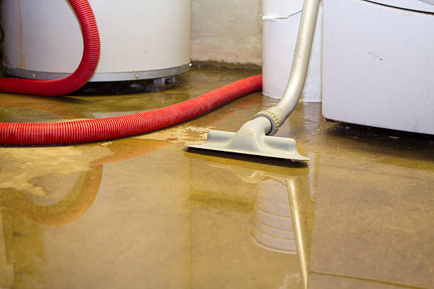 Best Local water damage restoration  in Doe Valley, KY